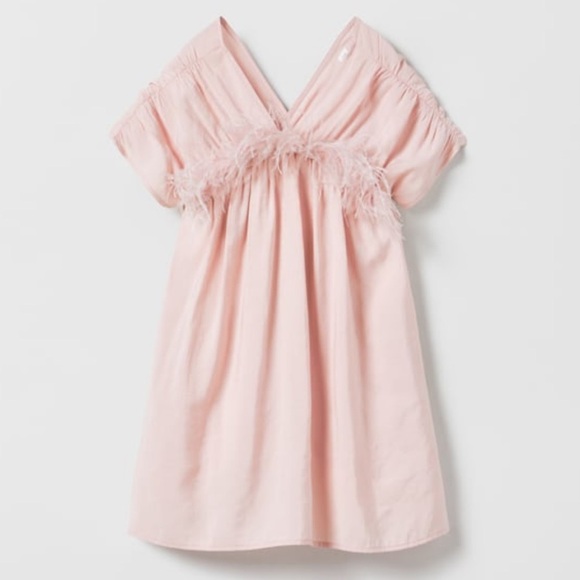 Zara Other - ZARA GIRL FEATHER DRESS
DUSTY PINK NWT
